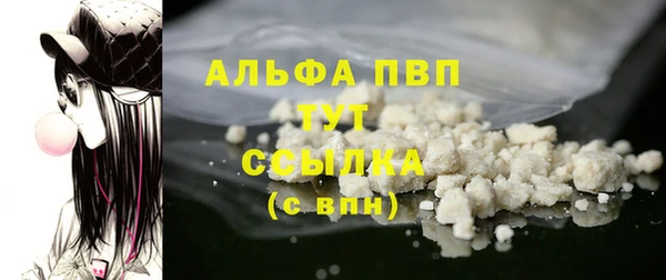 тгк Алексин