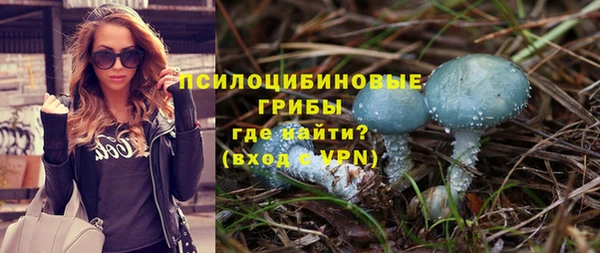 первитин Нягань