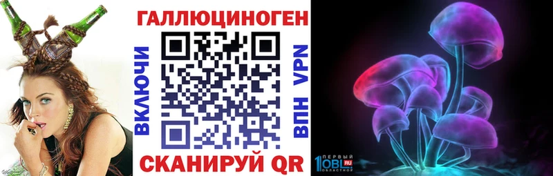 Псилоцибиновые грибы Psilocybe  Гусь-Хрустальный 